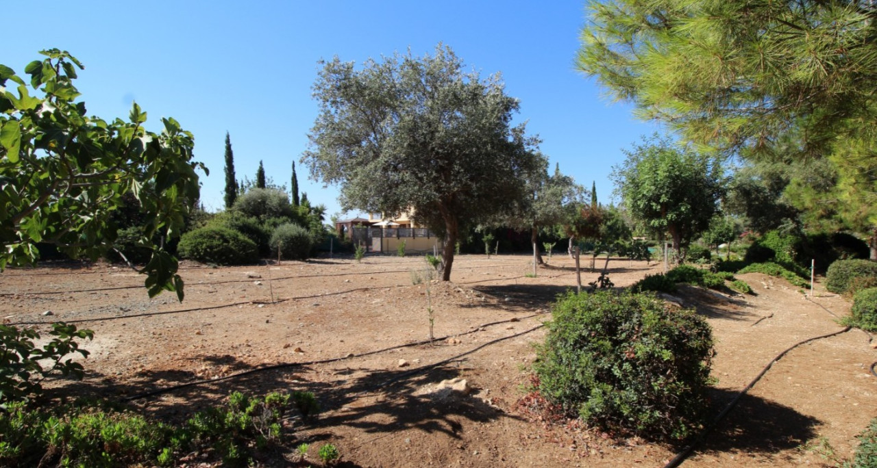For Sale: Detached house, Aphrodite Hills, Paphos, Cyprus FC-64476 - #20